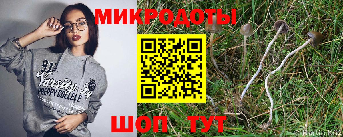 Чусовой  Галлюциногенные грибы ЛСД  Вход с VPN 